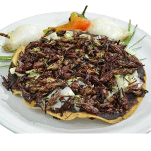 Chapulines Tostados x Kg